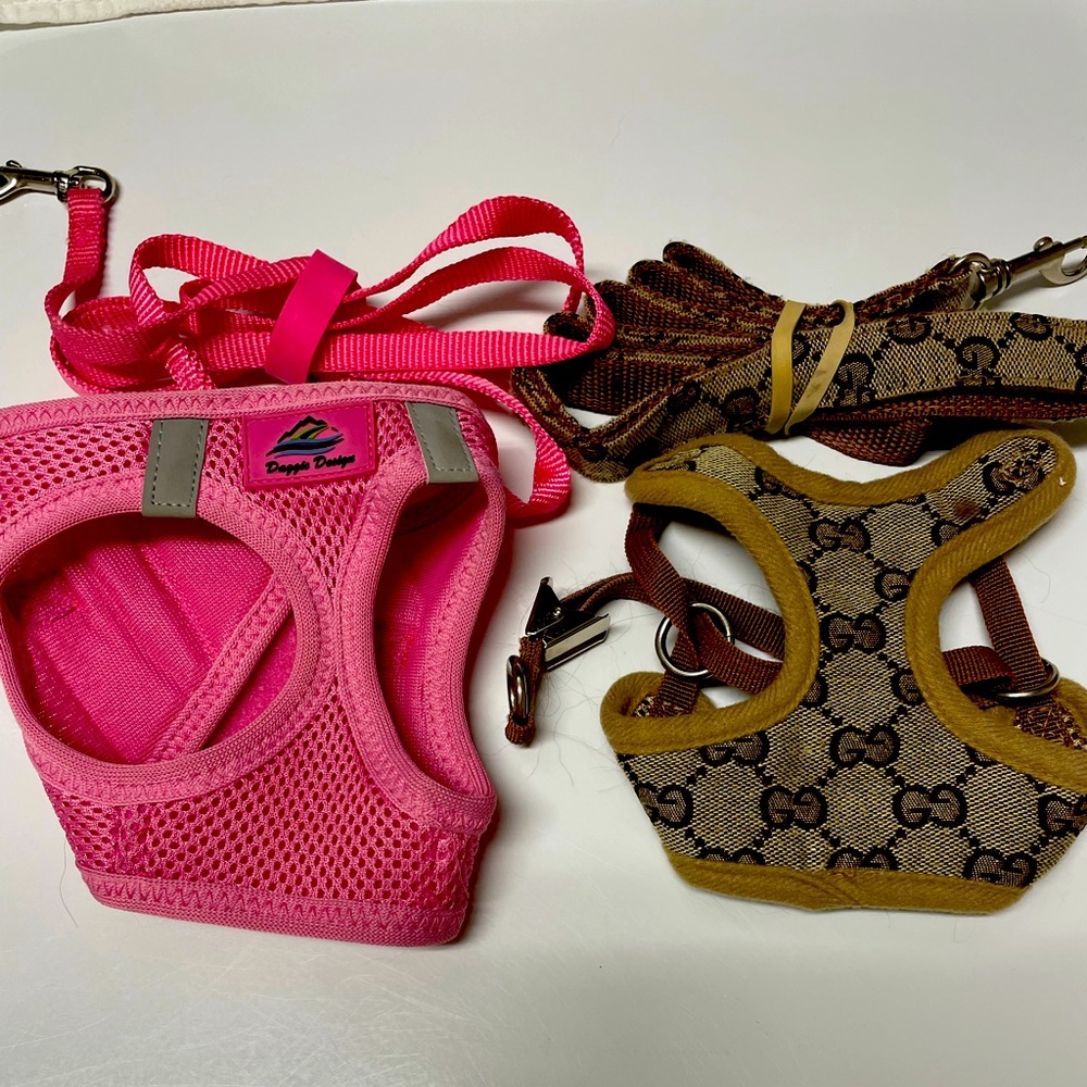 Xtra small dog harnesses and clothes